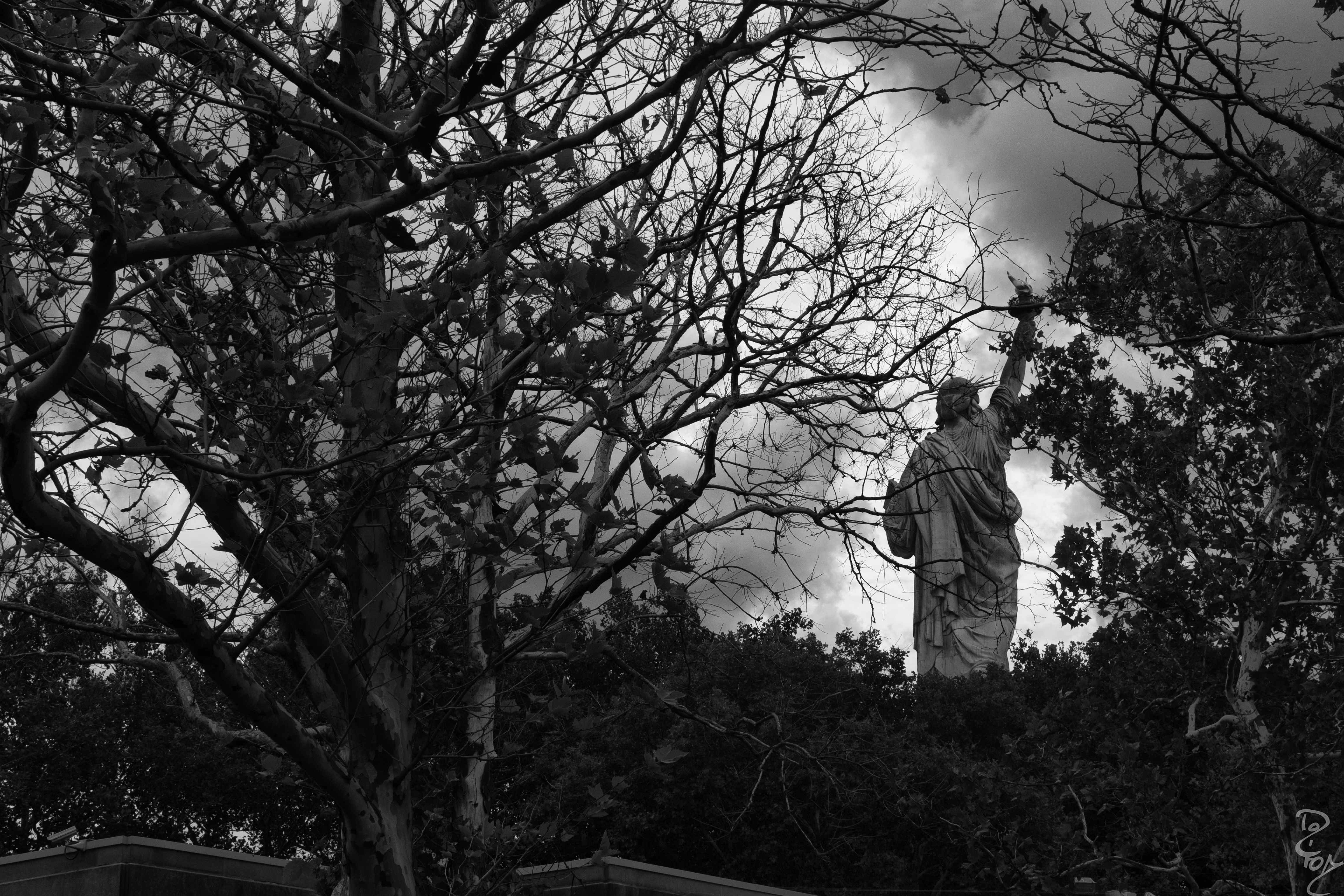 15072108188_165899afbc_o