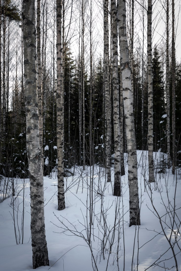 IrenLoontjens_FinalProject_Export.14