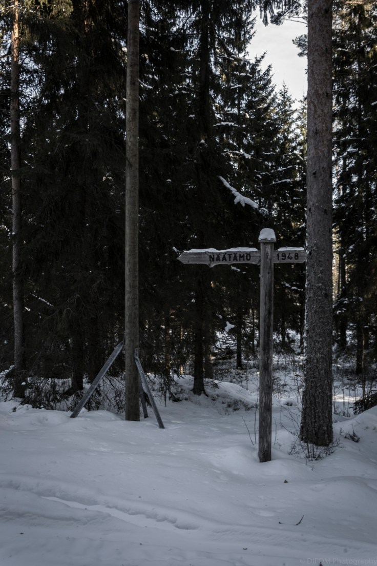 IrenLoontjens_FinalProject_Export.15