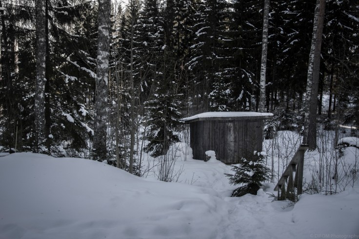 IrenLoontjens_FinalProject_Export.16