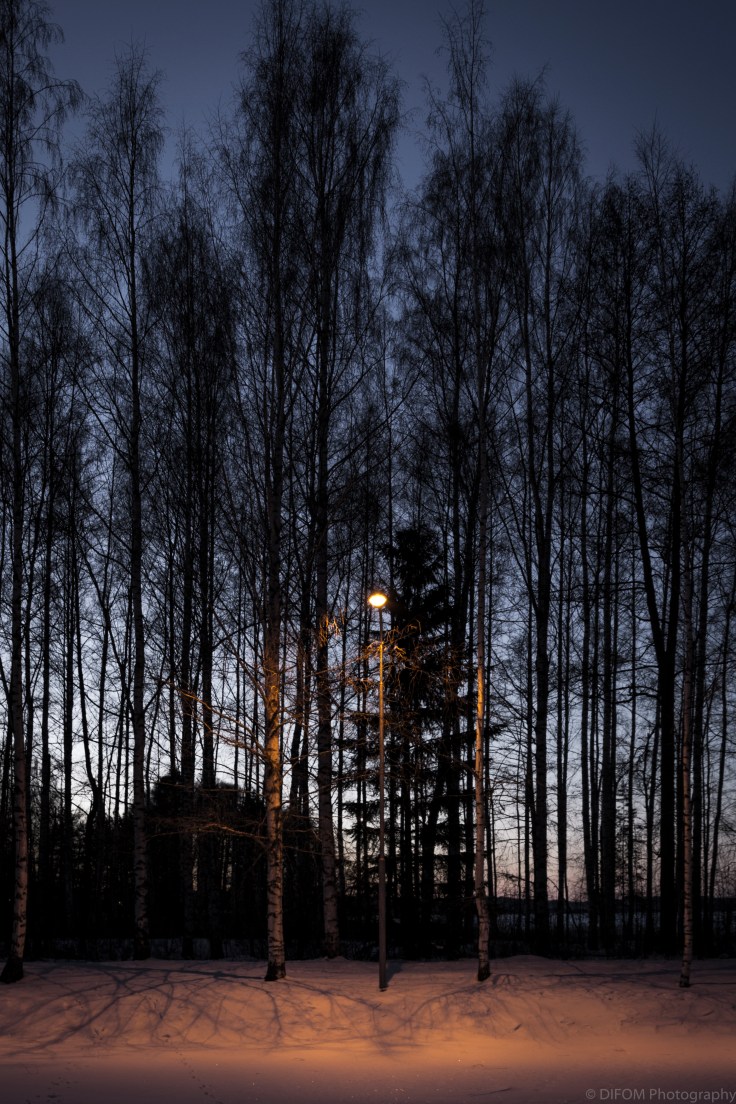 IrenLoontjens_FinalProject_Export.20