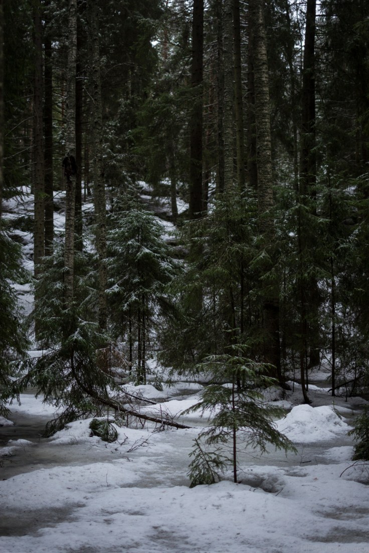 IrenLoontjens_FinalProject_Export.9